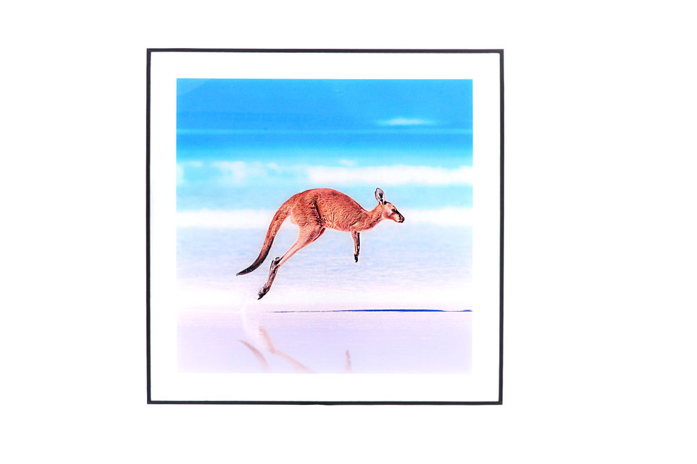 Glass Print Wall Art (Beach Kangaroo)